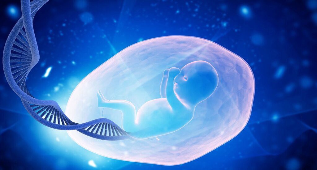 广州代孕机构：当科技接管子宫 女性的生育困境能解开吗？