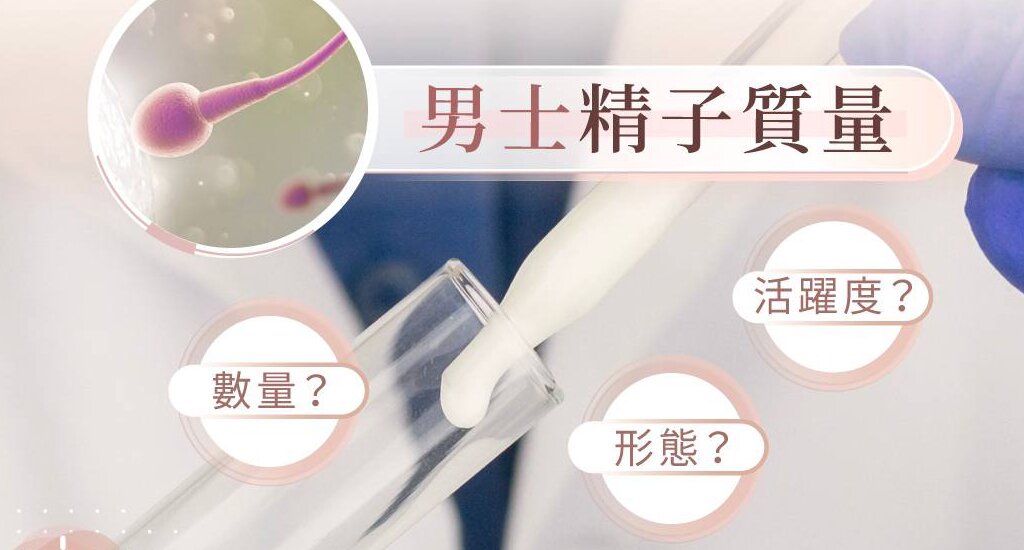 广州代孕机构：试管婴儿的实施步骤
