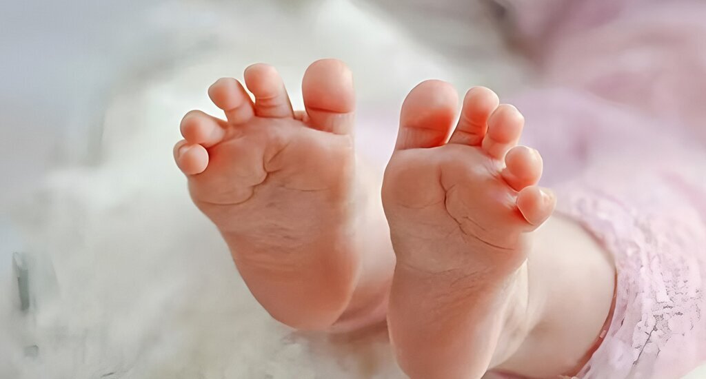 廣州代孕公司：荔灣備孕親身紀實｜嶺南潮濕巷陌裡，輾轉自愈的求子修行之路